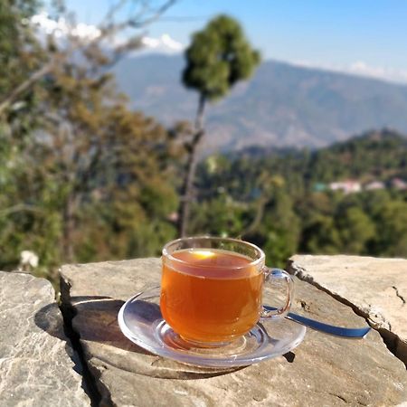Meraki - Entire 3Bhk Villa With Himalayan Views Ranikhet Buitenkant foto