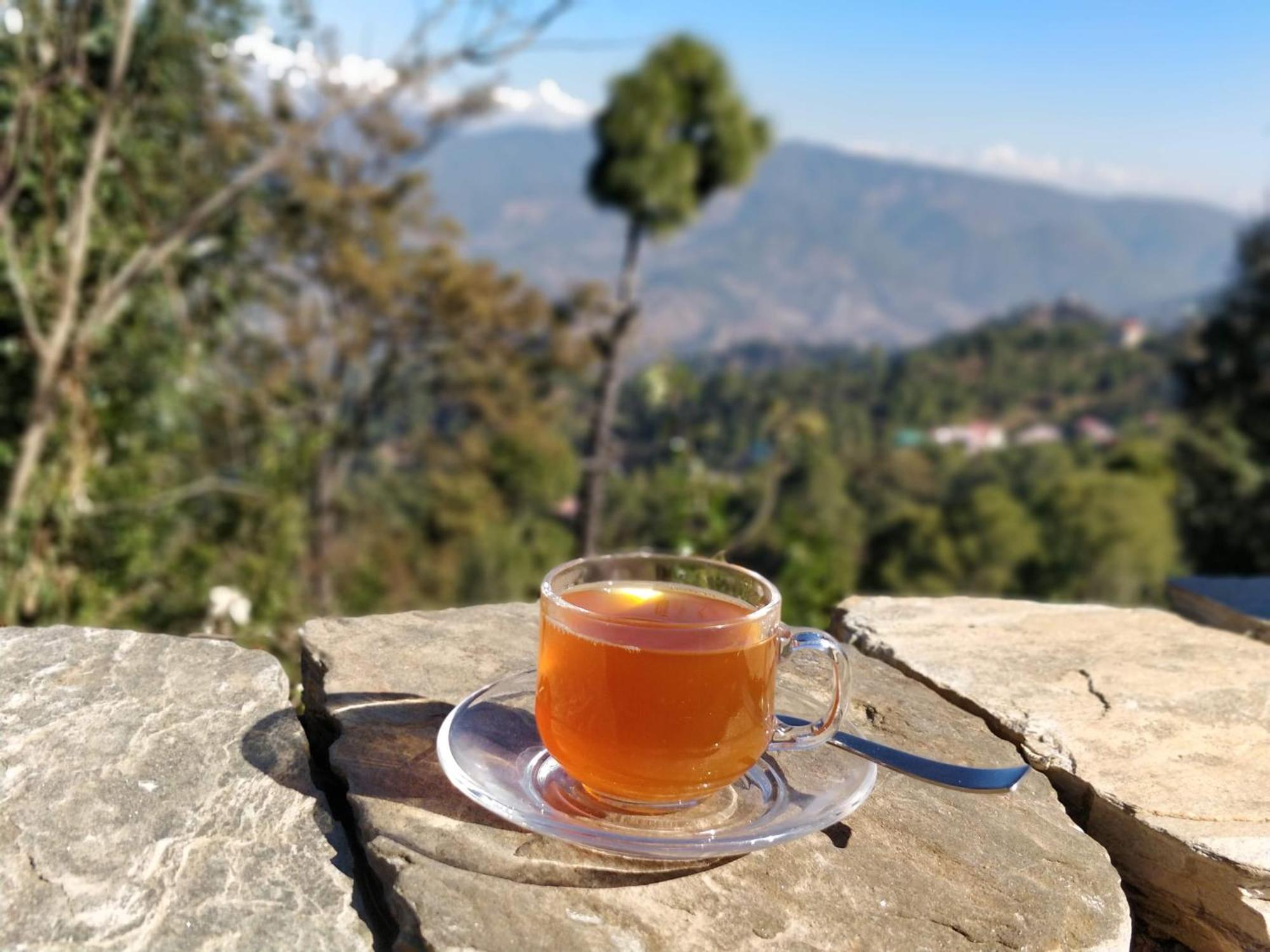 Meraki - Entire 3Bhk Villa With Himalayan Views Ranikhet Buitenkant foto